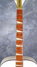 Rickenbacker 700/6 PW Build (acoustic), Blonde: Neck - Front