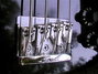 Rickenbacker 2030/4 , Jetglo: Free image2
