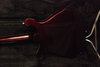 Jan 2007 Rickenbacker 660/6 75th Ann, DCMetallic: Body - Rear