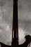 Rickenbacker 660/6 75th Ann, DCMetallic: Neck - Rear