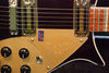 Rickenbacker 660/6 75th Ann, DCMetallic: Close up - Free