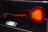Rickenbacker 650/6 Colorado, Amber Fireglo: Full Instrument - Rear