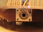 Rickenbacker 650/6 Dakota, Natural Walnut: Free image