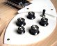 Rickenbacker 330/6 , Mapleglo: Close up - Free2