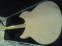 Rickenbacker 330/6 , Mapleglo: Full Instrument - Rear