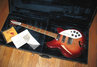 Rickenbacker 370/12 RM, Fireglo: Neck - Front