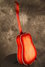 Rickenbacker 730/12 PW Build (acoustic), Fireglo: Full Instrument - Rear