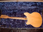 Rickenbacker 360/12 , Mapleglo: Full Instrument - Rear