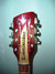 Rickenbacker 660/12 , Fireglo: Headstock
