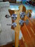 Rickenbacker 4001/4 V63, Mapleglo: Headstock - Rear