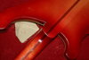 Rickenbacker 4001/4 , Fireglo: Neck - Rear