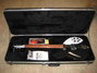 Rickenbacker 330/6 , Jetglo: Free image