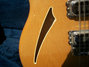 Rickenbacker 370/12 RM, Mapleglo: Free image