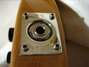 Rickenbacker 330/6 , Mapleglo: Close up - Free