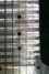 Rickenbacker A22/6 LapSteel, Chrome: Neck - Front