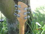 Rickenbacker 625/6 Mod, Natural: Headstock - Rear