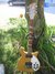 Rickenbacker 625/6 Mod, Natural: Close up - Free2