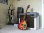 Rickenbacker 660/12 , Amber Fireglo: Free image2