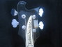 Rickenbacker 4003/4 , Jetglo: Headstock