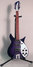 Rickenbacker 350/6 RIC Outlet One Off, Custom: Full Instrument - Front