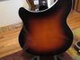 Rickenbacker 360/6 RIC Outlet One Off, Custom: Body - Rear