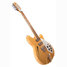 Rickenbacker 370/12 RM, Mapleglo: Neck - Rear