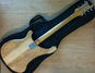 Rickenbacker 480/6 , Mapleglo: Full Instrument - Rear