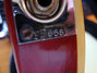 Rickenbacker 360/12 , Fireglo: Close up - Free
