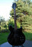 Rickenbacker 360/12 BH BT, Jetglo: Full Instrument - Front