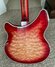 Rickenbacker 360/12 CW, Fireglo: Full Instrument - Rear