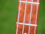 Rickenbacker 4001/4 S, Burgundy: Neck - Rear