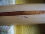 Rickenbacker 4001/4 , Mapleglo: Neck - Rear