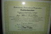 Rickenbacker 370/12 RM, Mapleglo: Free image2