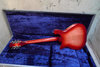 Rickenbacker 660/12 TP, Fireglo: Full Instrument - Rear