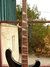 Rickenbacker 4003/4 , Jetglo: Neck - Front