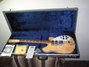 Rickenbacker 370/12 VP, Mapleglo: Free image