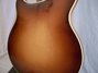 Rickenbacker 370/12 , Walnut: Body - Rear