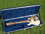 Rickenbacker 660/6 , Mapleglo: Full Instrument - Front