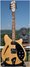 Rickenbacker 360/12 , Mapleglo: Free image