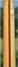 Rickenbacker 360/12 , Mapleglo: Neck - Rear