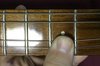 Rickenbacker 320/6 , Jetglo: Close up - Free2