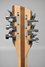 Rickenbacker 360/12 , Mapleglo: Headstock - Rear
