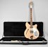 Rickenbacker 360/12 , Mapleglo: Neck - Front