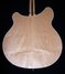 Rickenbacker 360/6 , Mapleglo: Body - Rear
