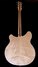 Rickenbacker 360/6 , Mapleglo: Full Instrument - Rear
