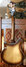 Rickenbacker 360/6 Mod, Autumnglo: Free image