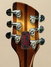 Rickenbacker 360/6 Mod, Autumnglo: Headstock - Rear
