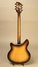 Rickenbacker 360/6 Mod, Autumnglo: Full Instrument - Rear