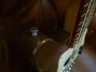 Rickenbacker 3000/4 Mod, Walnut: Free image2