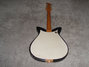 Rickenbacker 1000/6 , Black: Full Instrument - Rear